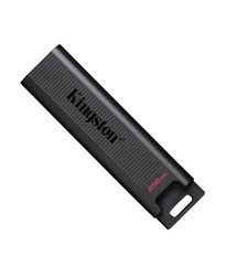 Накопичувач Kingston 256GB USB-C 3.2 Gen 1 DT Max (DTMAX/256GB)